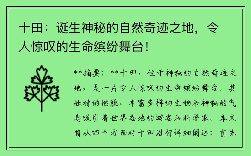 十田：诞生神秘的自然奇迹之地，令人惊叹的生命缤纷舞台！